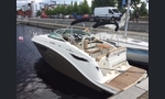 Sea Ray 265 Sundancer-kuva-1